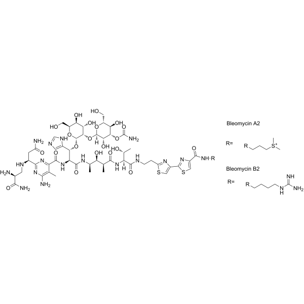 Bleocin 11056-06-7